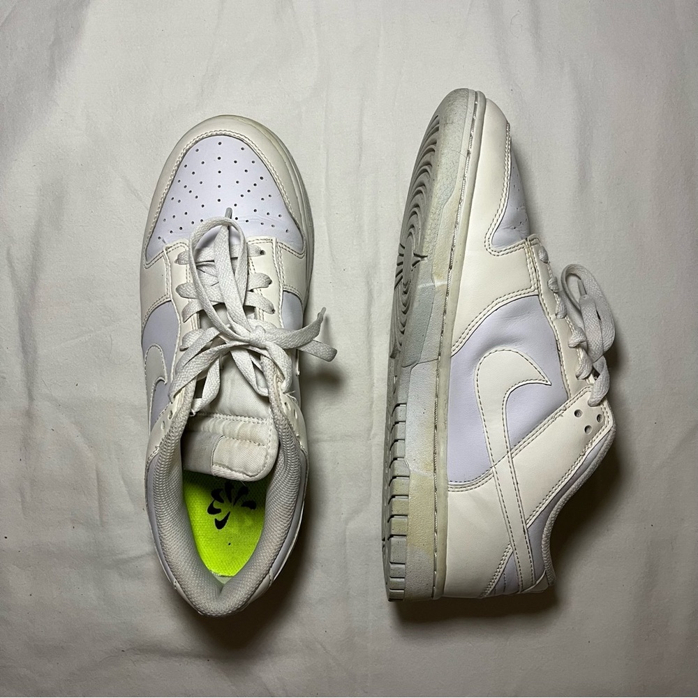 Nike Dunk Low Retro Coconut Milk shoes